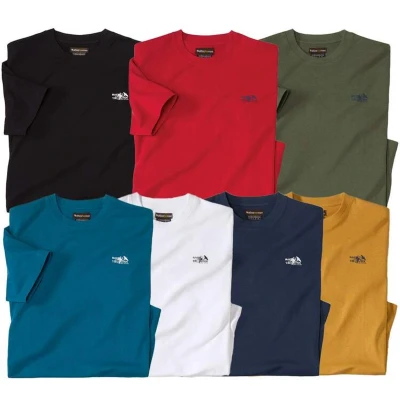 Afbeelding van Atlas for Men Set van 7 T shirts Atlas® Heren Verkrijgbaar in grote maten L
