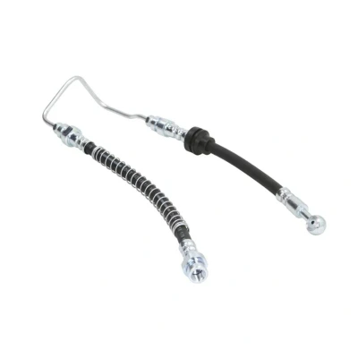 Afbeelding van Delphi Diesel Remslang LH7155