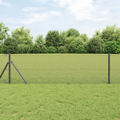 Afbeelding van vidaXL Gelaste Draad Fence Grijs 0,6x100 m Staal