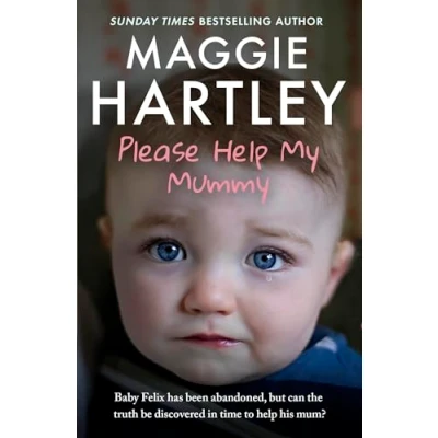Afbeelding van Please help My Mummy: Baby Felicity has been abandoned, but can the truth be discovered in time to her mum?