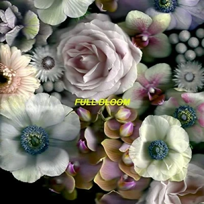 Afbeelding van Full Bloom