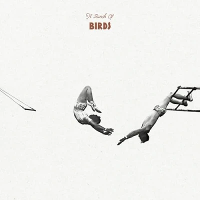 Afbeelding van A Bunch Of Birds (LP)