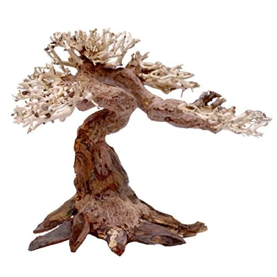 Afbeelding van Amtra Oriental Wind 5 hout, handgemaakt, voor aquarium, 30x10x20 CM