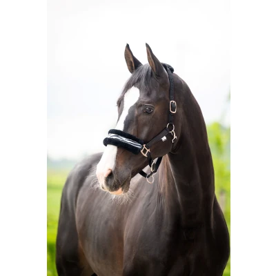 Afbeelding van HB Ruitersport Onderlegger Zebra Zwart/Wit
