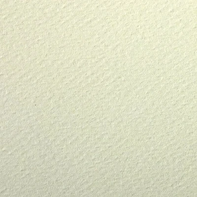 Afbeelding van Clairefontaine Ref 90892C Etival Gekleurd korrelig tekenpapier (Pack van 5 vellen) A4 (29,7 x 21cm) 160gsm Cellulose Art Paper Lichtgroen Zuurvrij, pH Neutraal