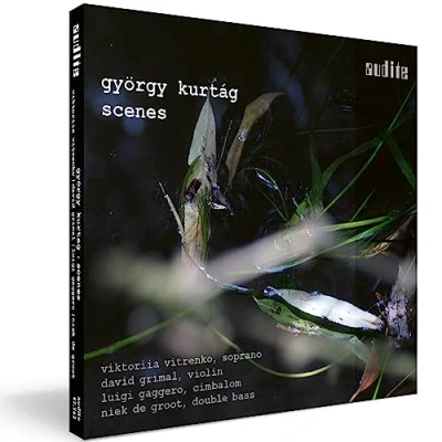 Afbeelding van Viktoriia Vitrenko, David Grimal, Luigi Gagger Scenes (CD)