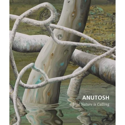 Afbeelding van Anutosh (Hardback)