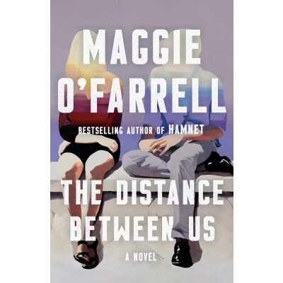 Afbeelding van The Distance Between Us: A Novel
