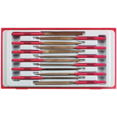 Afbeelding van TTNF12 Set naaldvijlen Tc tray 12dlg.