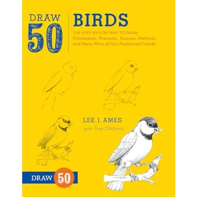 Afbeelding van Draw 50 Birds