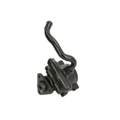 Afbeelding van Lauber Servopomp 55.0206