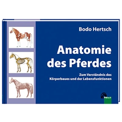 Afbeelding van Anatomie des Pferdes