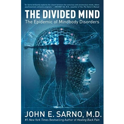 Afbeelding van The Divided Mind: Epidemic of Mindbody Disorders