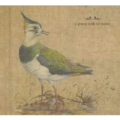 Afbeelding van Feathers Wet / Under The Moon