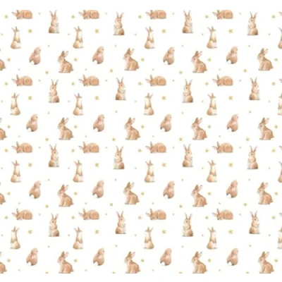 Afbeelding van Melody Jane Poppenhuis bruin konijn ster patroon miniatuur kinderkamer behang 1:12