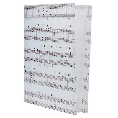 Afbeelding van PUNK A4 formaat muziek tafel bestand map documenten houder opslag 40 vakken (Music Sheet White)