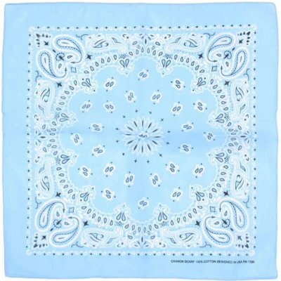 Afbeelding van Zac&#039;s Alter Ego Baby Blue alternative paisley Bandana Blauw