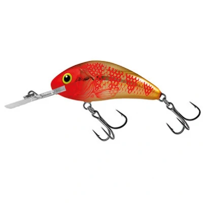 Afbeelding van Golden Red Head Rattlin Hornet Floating Salmo