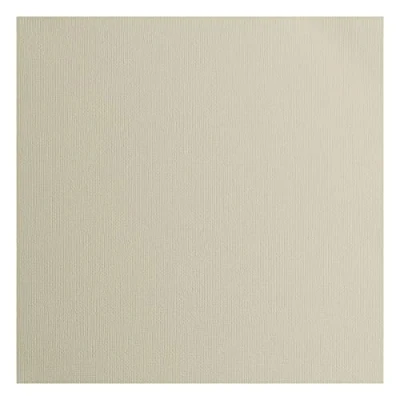 Afbeelding van Vaessen Creative Florence Geweven Cardstock, Muis Grijs, 216 gram, 12x12&quot;, 20 vellen, voor Scrapbooking, Kaarten maken, Die Cutting en andere Papierambachten, 30,5 x cm