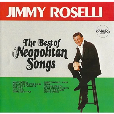 Afbeelding van Jimmy Roselli The Best Of Neopolitan Songs (2 CD)