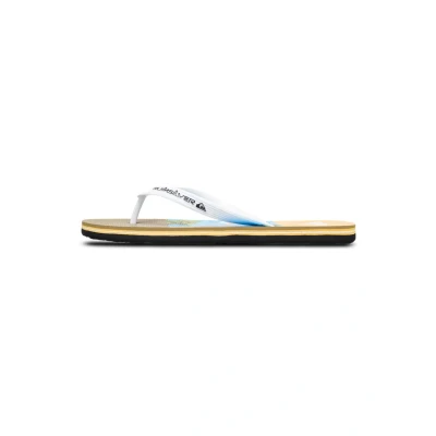 Afbeelding van Quiksilver Molokai Stripe 25 Teenslippers, Heren, Maat: 43, Blq6 Kunststof