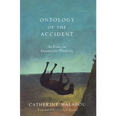 Afbeelding van the Ontology of Accident: An Essay on Destructive Plasticity