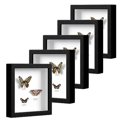 Afbeelding van EUGAD Set van 5 fotolijsten fotogalerij, diepe lijst voor objecten tot 3 cm, houten met papieren passepartout, kunststof schijf, 3D objectlijst, zwart, 20 x cm