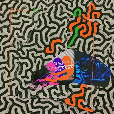 Afbeelding van Animal Collective Tangerine Reef (2 LPs)