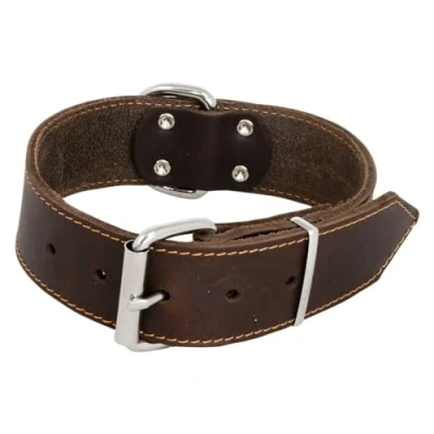 Afbeelding van JACK AND VANILLA, Brede hondenhalsband, model vet leer, kleur bruin, afmetingen 40 mm x 55 cm