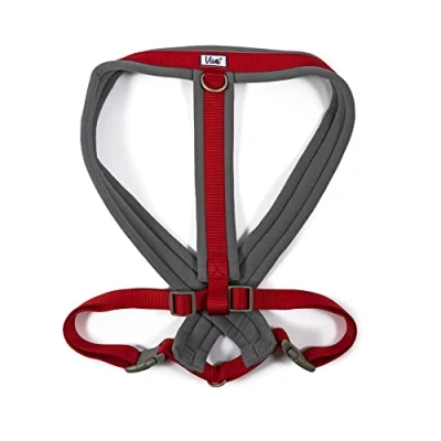 Afbeelding van Viva Gewatteerde Harnas Rood XL 70 98cm