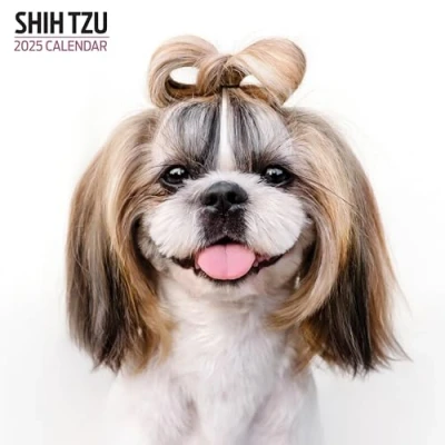 Afbeelding van Shih Tzu 2025 Moderne kalender