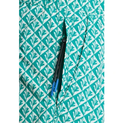 Afbeelding van Shiwi NATE Quick DRY Zwemshorts, Heren, Maat: 3XL, Blue lagoon coral reverse