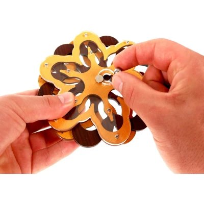 Afbeelding van Star Path Constantin Brainpuzzel