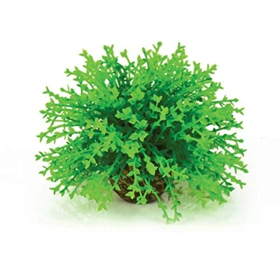 Afbeelding van Decobol groen biOrb