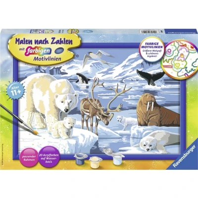 Afbeelding van Ravensburger Schilderen op nummer Dieren van de Arctis Hobbypakket