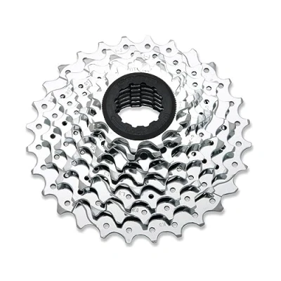 Afbeelding van SRAM cassette Powerglide II PG 850 MTB, verchroomd