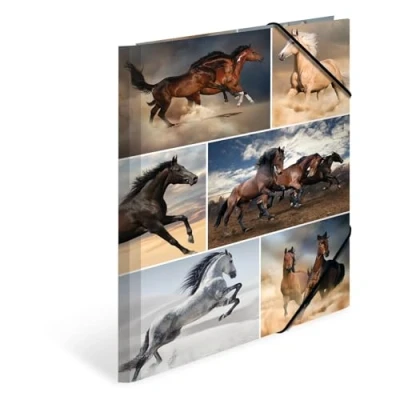 Afbeelding van HERMA 19209 Verzamelmappen A4 dieren paarden, 3 stuks, kinderhoekspanner mappen van karton met interne druk en elastiek, stevige kartonnen omslagmappen voor jongens meisjes