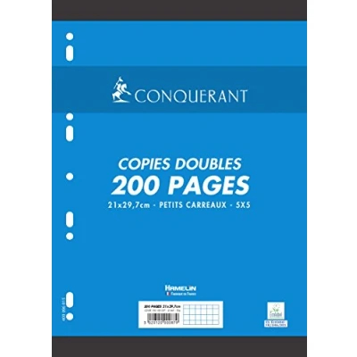 Afbeelding van CONQUÉRANT SEPT 100103227 CONQUERANT Kantelpapier, DIN A4, geruit, 100 vel