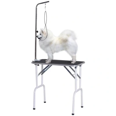 Afbeelding van PawHut trimtafel inklapbaar dierentrimtafel tafel voor het trimmen verzorgingstafel honden katten metaal zwart 81 x 48 80 cm