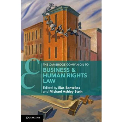 Afbeelding van The Cambridge Companion to Business and Human Rights Law
