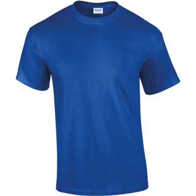 Afbeelding van Fruit of the Loom Ringspun Premium T Ash 3XL