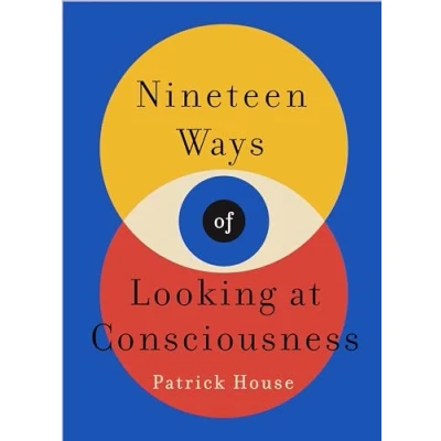 Afbeelding van Nineteen Ways of Looking at Consciousness: Our leading theories how your brain really works