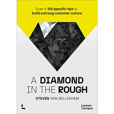 Afbeelding van a diamond in the rough: Over 100 specific tips to build strong customer culture