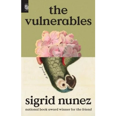 Afbeelding van The Vulnerables: A Novel