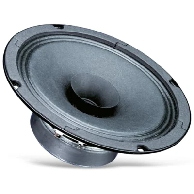 Afbeelding van Visaton BG 17 Full range Woofer