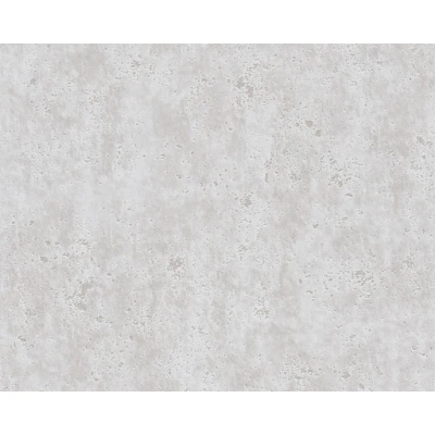 Afbeelding van AS Creation Beton Behang 36600 1 / 366001 licht Grijs