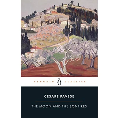 Afbeelding van the Moon and Bonfires