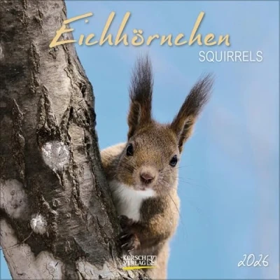 Afbeelding van Squirrels 2026