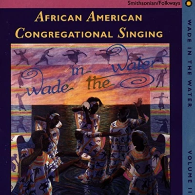 Afbeelding van Various Artists Wade In The Water 2: Congregational Singing (CD)