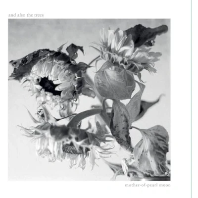 Afbeelding van And Also The Trees Mother Of Pearl Moon (LP)